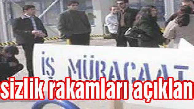 İşsizlik rakamları açıklandı