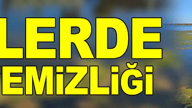 Sahillerde yosun temizliği