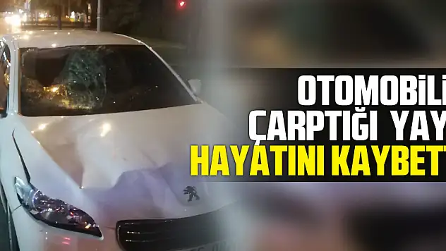 Samsun'da otomobilin çarptığı yaya hayatını kaybetti