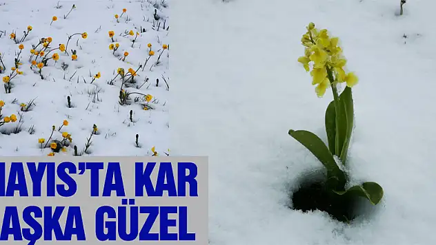 Mayıs'ta Kar Başka Güzel