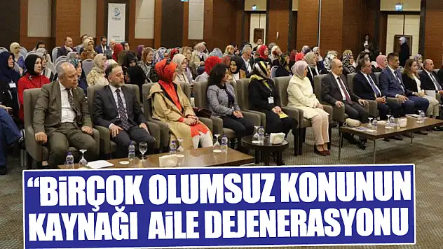 Vali Dağlı: 'Birçok olumsuz konunun nedeni aile kavramının dejenerasyonundan kaynaklı'