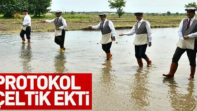 Protokol çeltik ekti