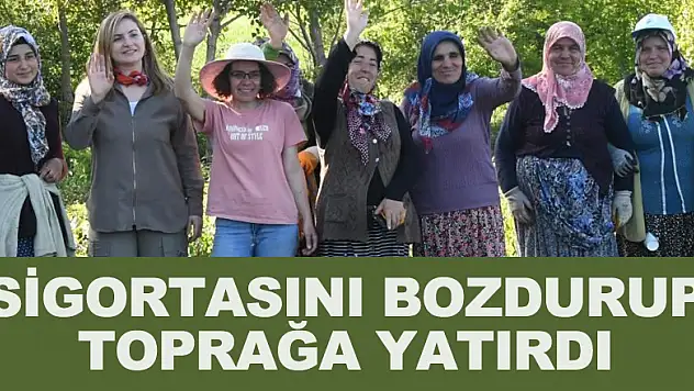 sigortasını bozdurup toprağa yatırdı