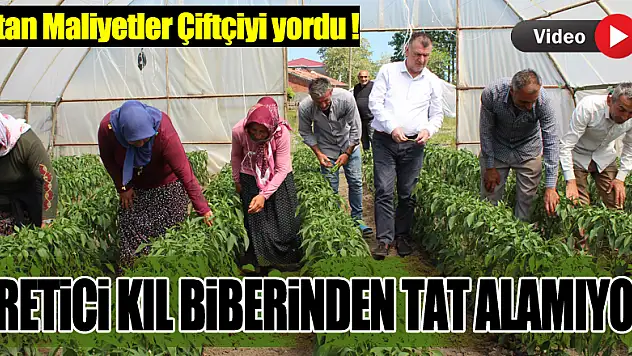 Artan Maliyetler Çiftçiyi yordu !  ÜRETİCİ KIL BİBERİNDEN TAT ALAMIYOR