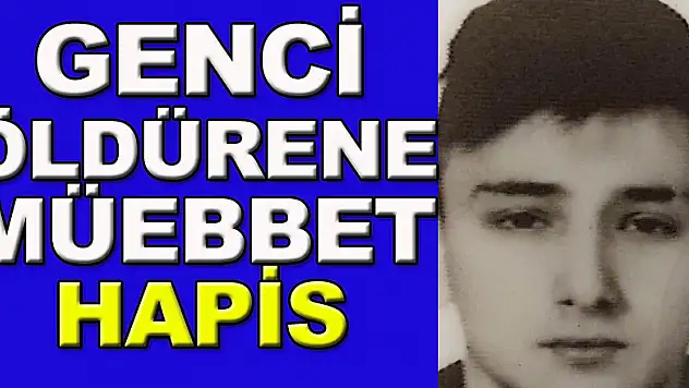 Park halindeki araçtaki genci öldürene müebbet hapis