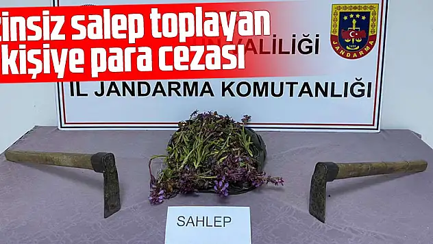 izinsiz salep toplayan 2 kişiye para cezası