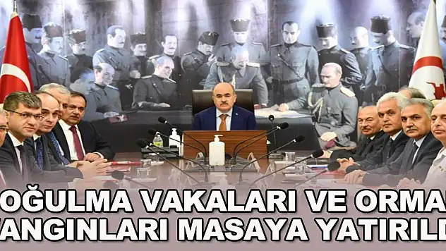 Samsun'da boğulma vakaları ve orman yangınları masaya yatırıldı