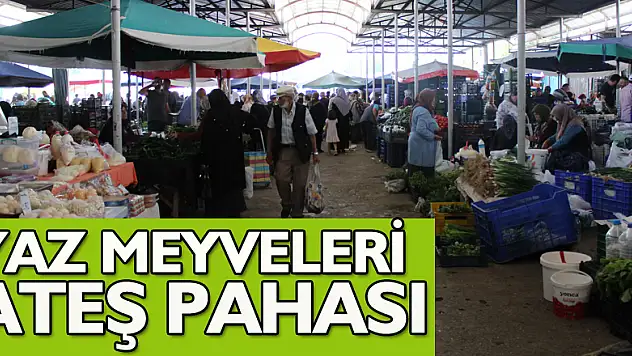 YAZ MEYVELERİ ATEŞ PAHASI