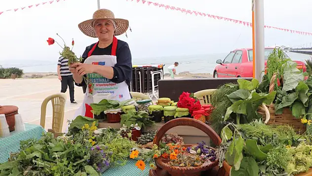 Yöresel Ot Yemekleri Festivali: 1878 çeşit ot tanıtıldı