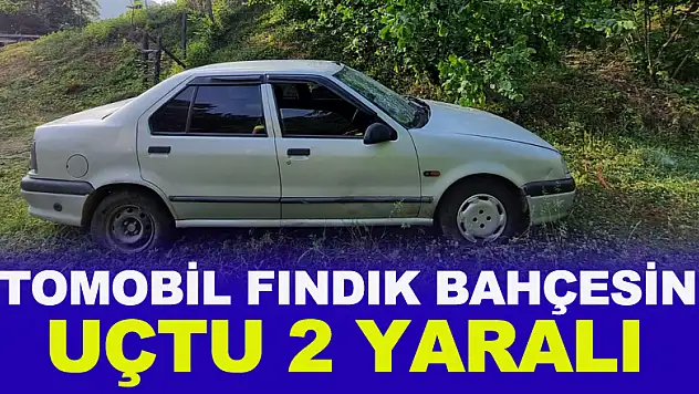 Otomobil fındık bahçesine uçtu: 2 yaralı