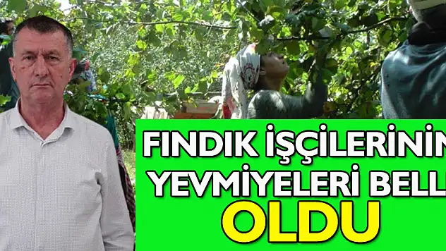 Fındık İşçilerinin Yevmiyeleri Belli Oldu