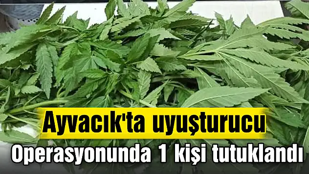 Ayvacık'ta uyuşturucu operasyonunda 1 kişi tutuklandı