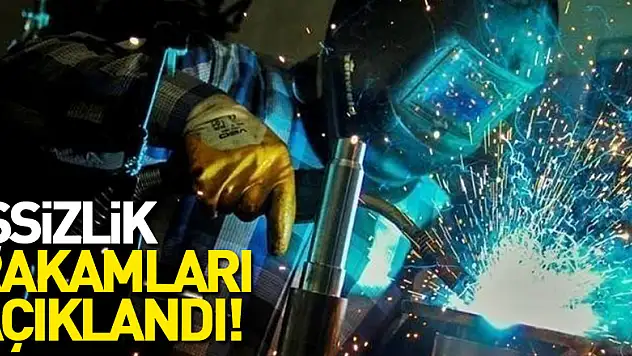 İşsizlik rakamları açıklandı!