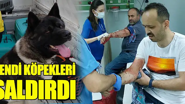 Kendi köpeklerinin saldırısına uğrayan baba-oğul yaralandı