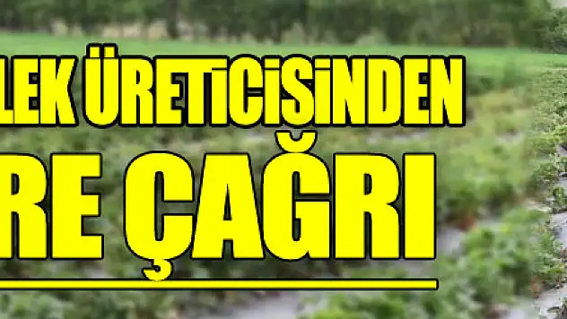 72 yaşındaki çilek üreticisinden gençlere çağrı