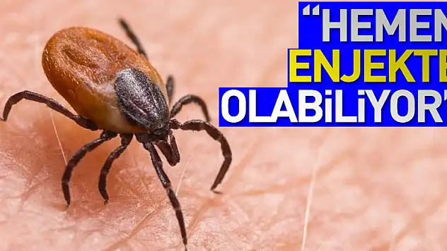 Kene kabusu geri döndü, 'sakın bunu yapmayın, hemen enjekte olabiliyor'