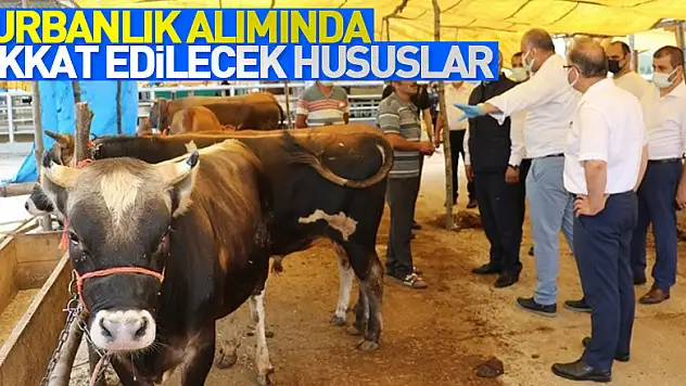 Kurbanlık hayvan alış, satış ve kesimlerinde dikkat edilecek hususlar