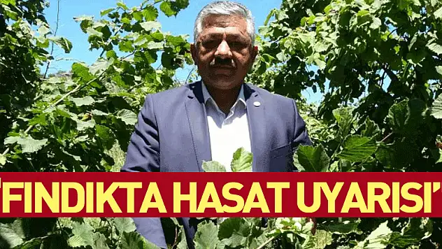 Fındıkta 'erken hasat' uyarısı