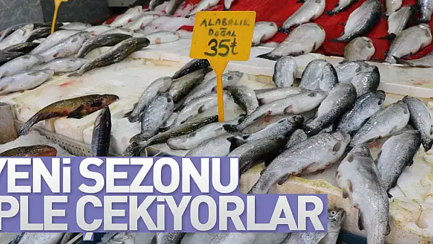Balıkçılar yeni sezonu iple çekiyor