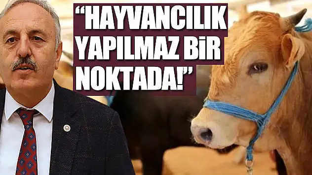 'Hayvancılık yapılmaz bir noktada!'