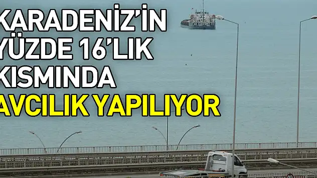 Doç. Dr. Erüz: 'Karadeniz'in yüzde 16'lık kısmında avcılık yapılıyor'