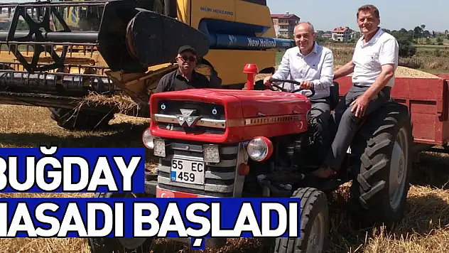 19 Mayıs'ta buğday hasadı başladı