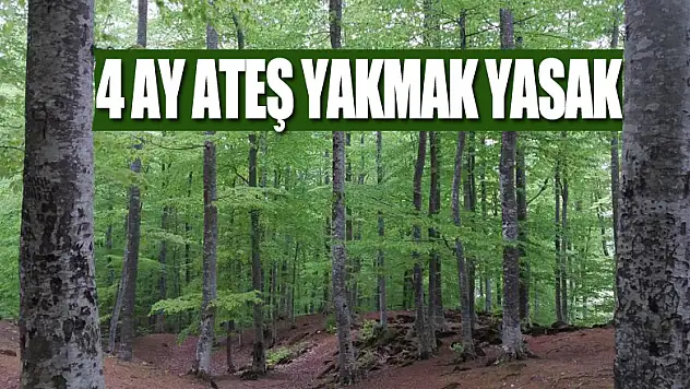 Yeşil Samsun için yeni tedbirler: Ormanlarda 4 ay ateş yakmak yasak