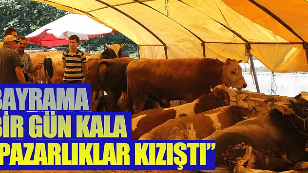 Kurban Bayramı'na bir gün kala pazarlıklar kızıştı