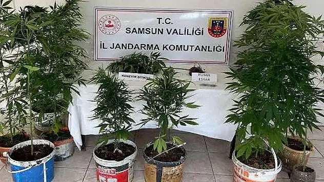 18 olayda 24 gözaltı