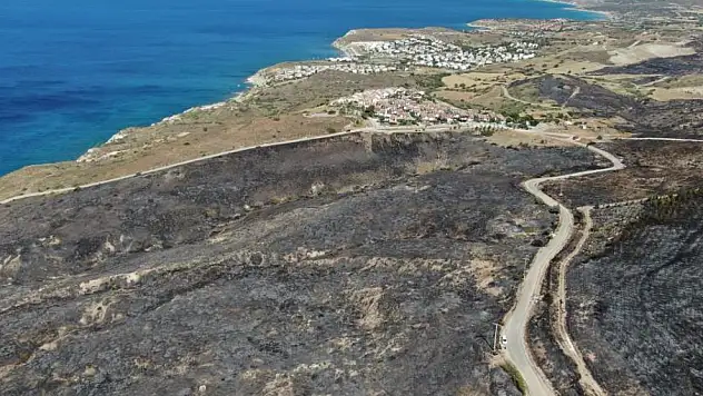 Çeşme yangınları kontrol altında!