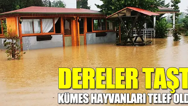Dereler taştı, kümes hayvanları telef oldu