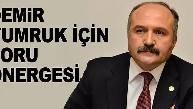 DEMİR YUMRUK İÇİN SORU ÖNERGESİ