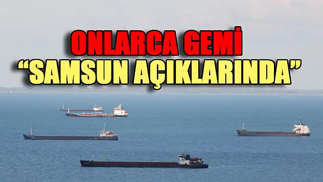 Onlarca gemi Samsun açıklarında bekliyor
