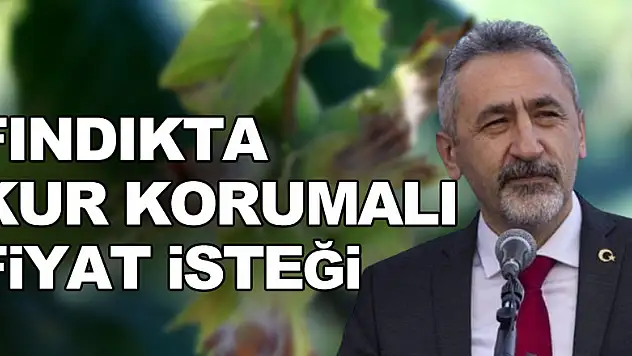 Fındıkta 'kur korumalı fiyat' isteği!