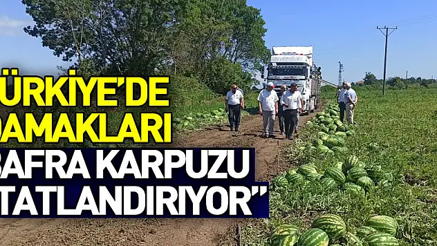 Türkiye'de damakları Bafra karpuzu tatlandırıyor