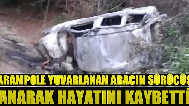 Şarampole yuvarlanan aracın sürücüsü yanarak hayatını kaybetti