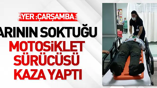 Arının soktuğu motosiklet sürücüsü kaza yaptı