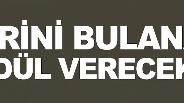 Köpeklerini bulana 5 bin TL ödül verecek