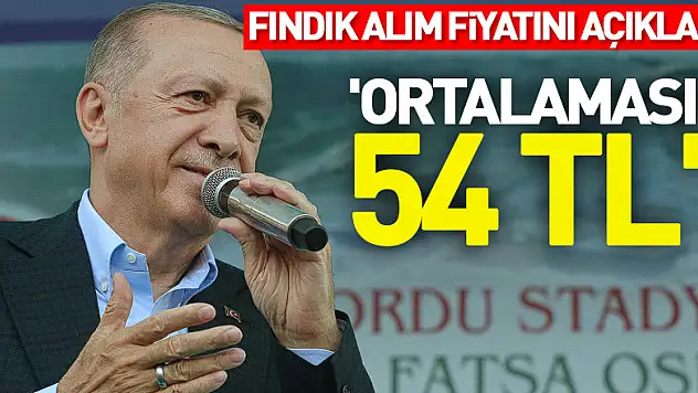 Cumhurbaşkanı Erdoğan fındık alım fiyatını açıkladı: 'Ortalaması 54 TL'