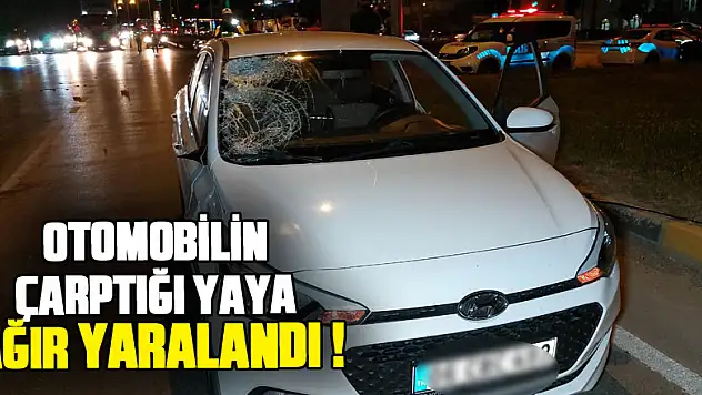 Samsun'da otomobilin çarptığı yaya ağır yaralandı