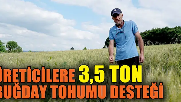 Üreticilere 3,5 ton buğday tohumu desteği