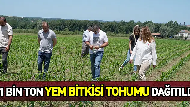 81 bin ton yem bitkisi tohumu dağıtıldı