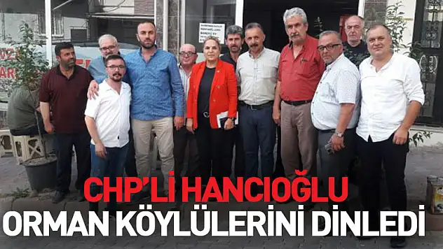CHP'li Hancıoğlu orman köylülerini dinledi