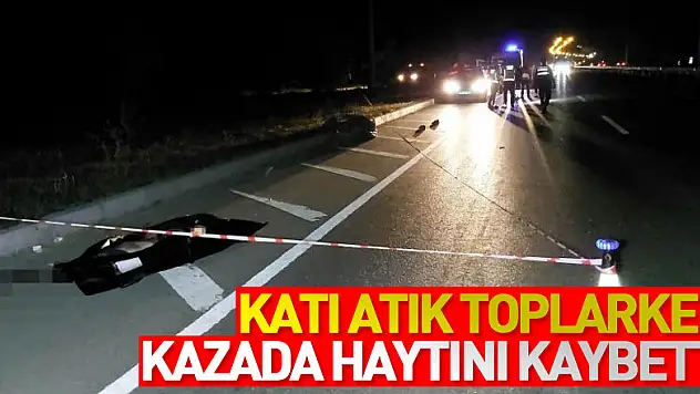 Yol kenarında katı atık toplarken kazada hayatını kaybetti
