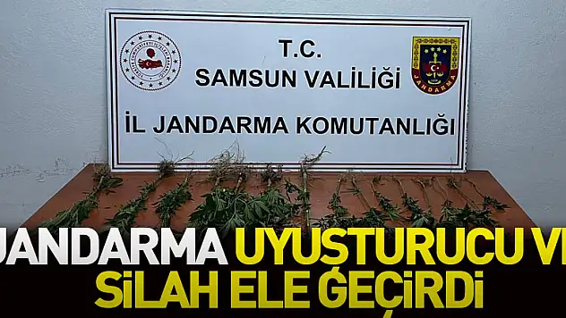 jandarma uyuşturucu ve silah ele geçirdi