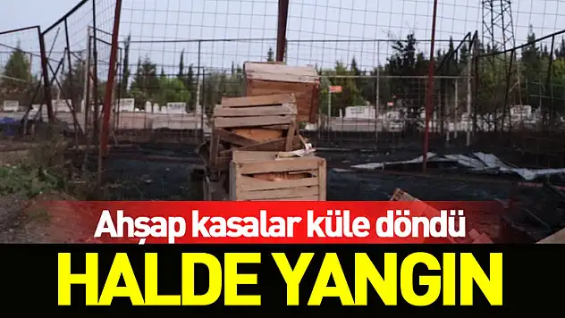 Halde yangın: Ahşap kasalar küle döndü