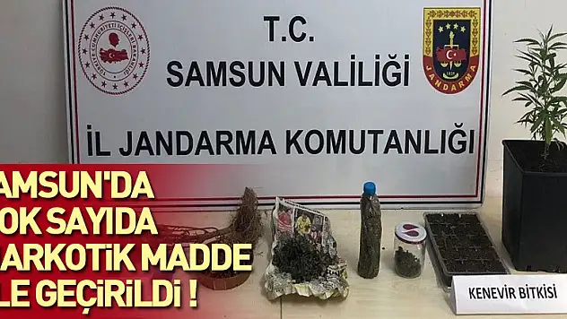 Samsun'da çok sayıda narkotik madde ele geçirildi