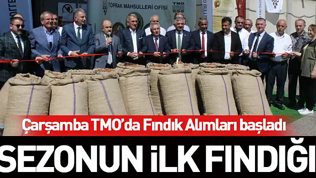 Çarşamba TMO'da Fındık Alımları başladı