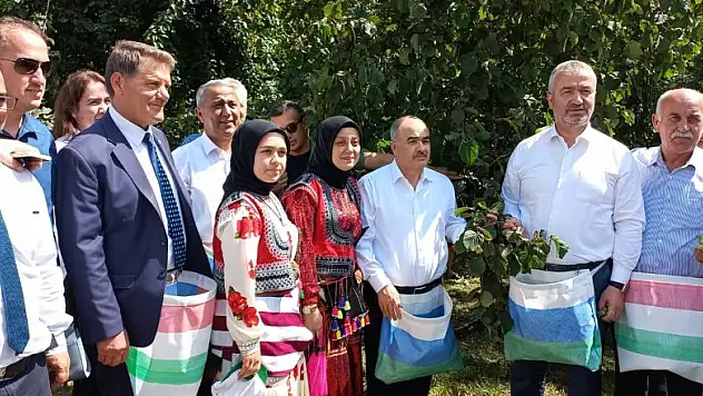 Fındık Hasat Şenliği düzenlendi