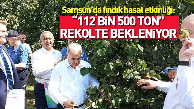 Samsun'da fındık hasat etkinliği: 112 bin 500 ton rekolte bekleniyor
